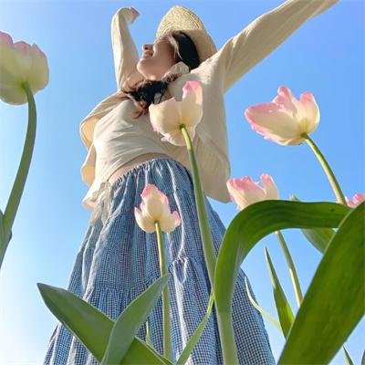 傲骨贤妻第七季